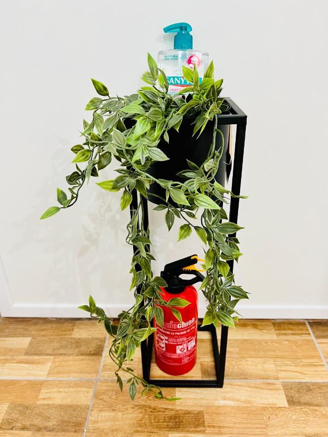 דירות סוסאבה Altheda Living Brownie 29E-2 מראה חיצוני תמונה